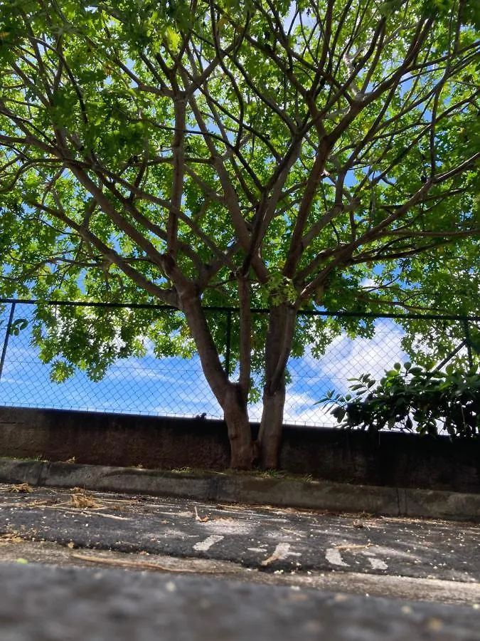 Vaihiapa Lodge S205 Free Wifi & Parking Papeete  0*,